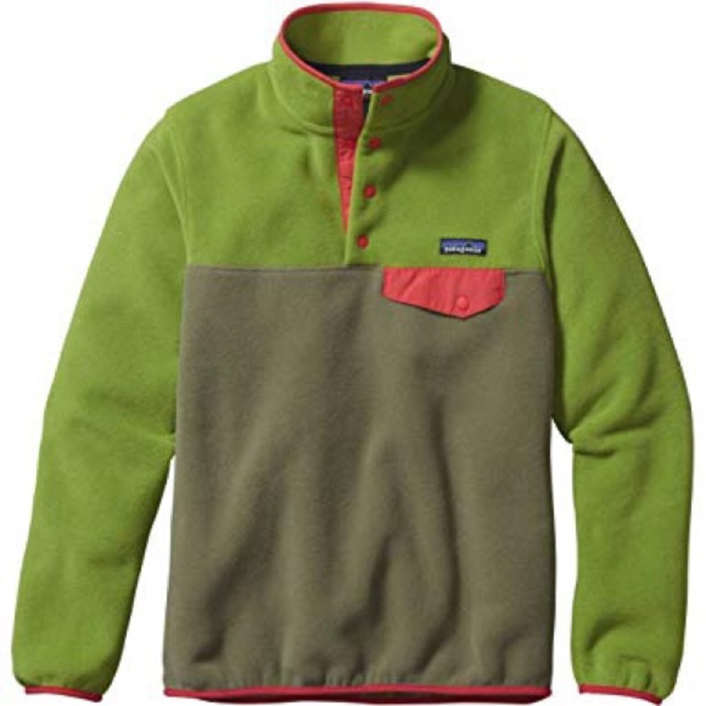Patagonia Synchilla Snap-T Fleece Pullover
